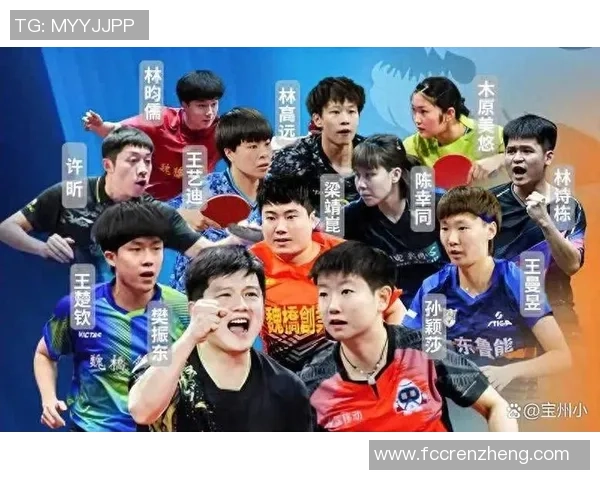 武汉乒乓球队技术分析与发展探讨聚焦乒乓球竞技新趋势