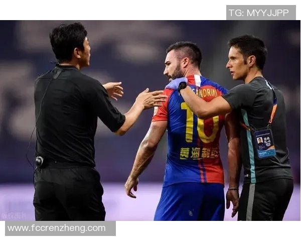 世界足球明星的人品与职业道德对球迷和年轻球员的影响分析 世界足球明星的人品与职业道德对球迷和年轻球员的影响分析